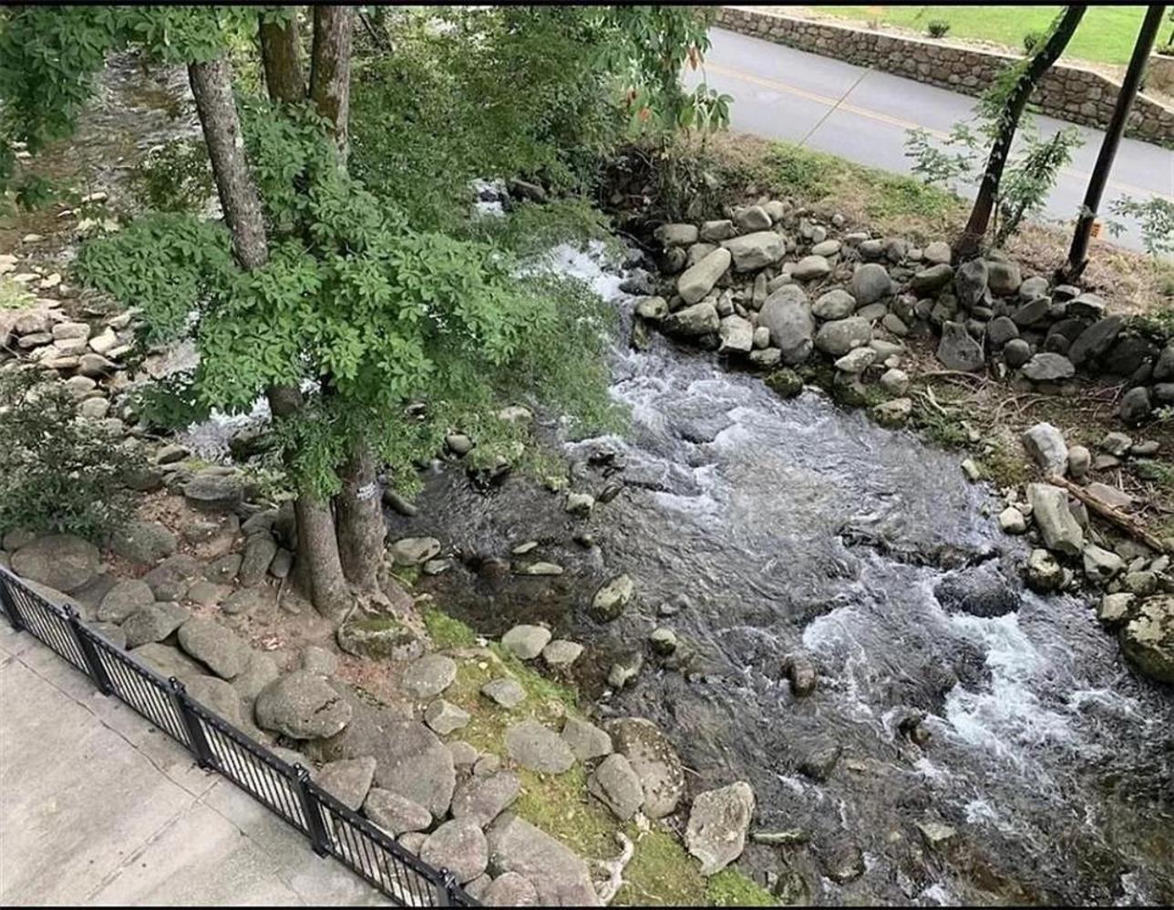 Luxurious Condo, Pool, Fireplace, Hiking Hébergement de vacances *